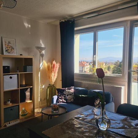 Studio Kaan Avec Terasse 5Mn Basel Airport 圣路易 外观 照片