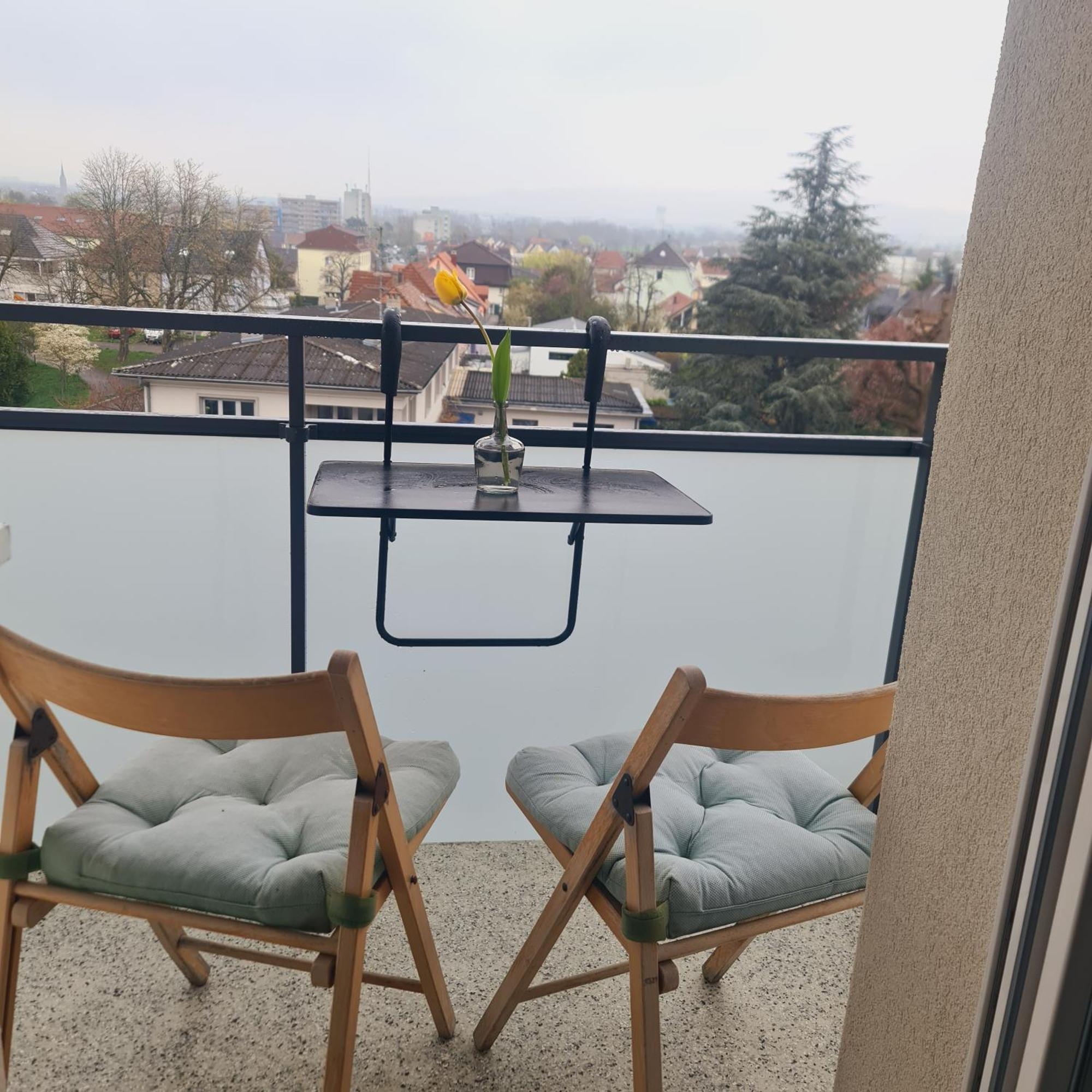 Studio Kaan Avec Terasse 5Mn Basel Airport 圣路易 外观 照片